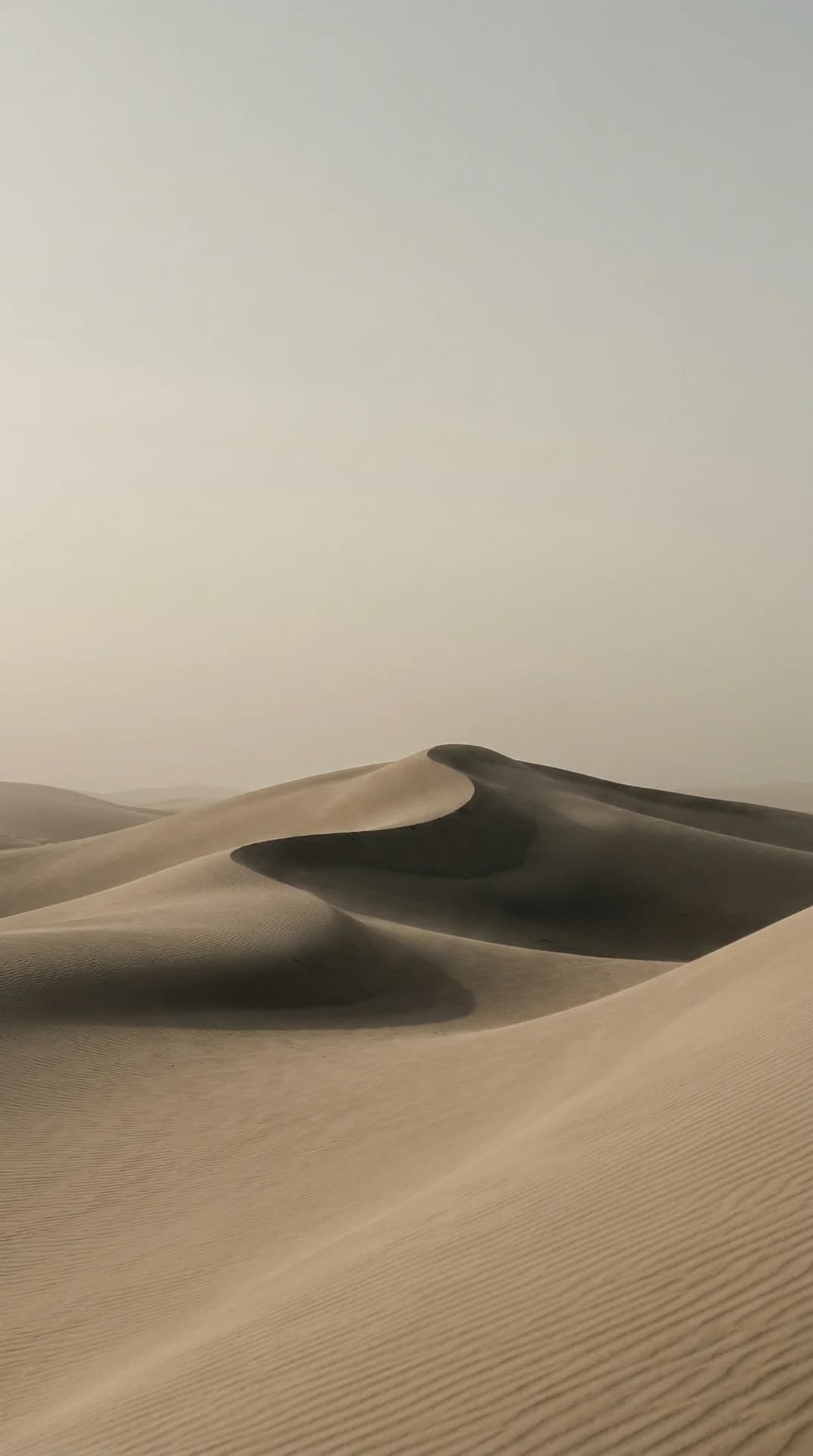 AFRICA SHOP Колекція